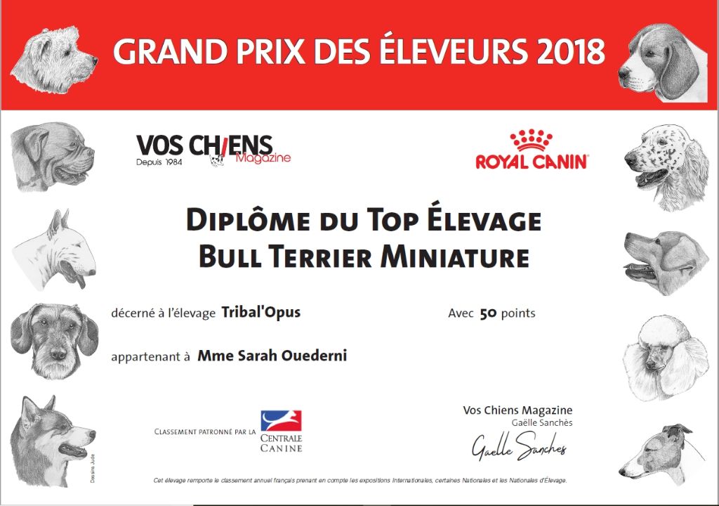 Tribal Opus - L'élevage Tribal'Opus remporte Grand Prix des Eleveurs 2018 !!