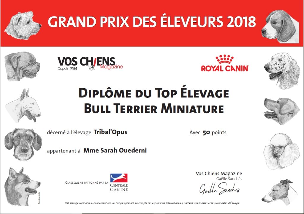 L'élevage Tribal'Opus remporte Grand Prix des Eleveurs 2018 !!